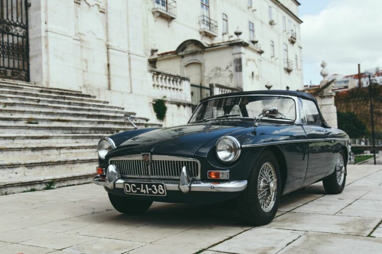 h robin vet q6LFMQ6wVZ0 unsplash