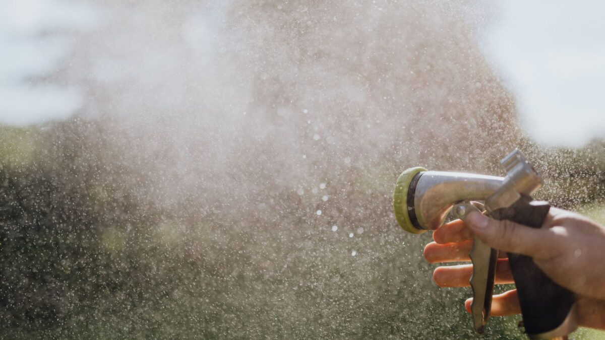 Hitzeschutz im Garten 2026: Pflanzen richtig schützen